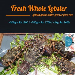 Fresh Whole Lobster 500grs