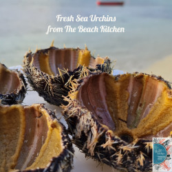 Fresh Sea Urchins - 6 pcs...